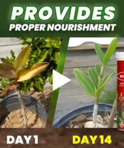 NEGUSY® Organic Fertilizer Tablets- Slow Release Plant Food for 60 Days