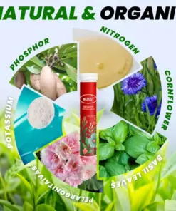 NEGUSY® Organic Fertilizer Tablets- Slow Release Plant Food for 60 Days